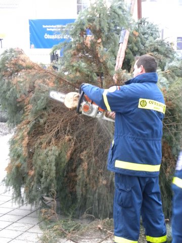 Christbaumaufstellen 2016 10